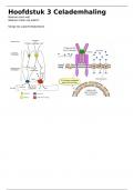 Samenvatting -  Biochemie les 3 (CURPBAVDK1830022024)