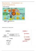 Samenvatting -  Biochemie les 5 (CURPBAVDK1830022024)