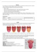 Fisiopatología y anatomía de los órganos de los sentidos