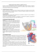 Anatomía y fisiología del sistema cardiovascular