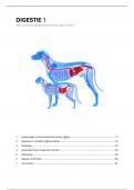 Samenvatting -  Digestie 1 (DB2-DI1)