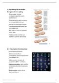 Samenvatting zelfstudie les 1 - Celdeling - Vergelijkende biologie E05C2a KU Leuven