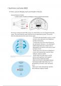 All relevant notes to pass the EPH2022 exam (Lifestyle, Work and Health in the EU) (Summary of Lectures + Tutorial Cases) 