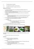 Samenvatting Plant molecular genetics and plant biotechnology_prof. Angenon