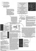 CCEA GCE Biology - Chapter 4 - Neurones and Synapses Mindmap