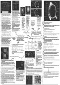 CCEA GCE Biology - Chapter 5 - The Eye and Muscle Mindmap