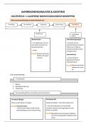 Samenvatting Jaarrekeninganalyse & Auditing