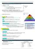 Samenvatting -  Nederlands