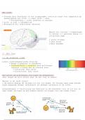 Samenvatting -  Biologische psychologie II: functies