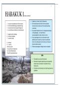 HABAKUK 1 deur Kobus Lombard