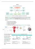 Samenvatting -  Biologie Bevruchting en invloed factoren