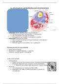 samenvatting Genie Biologie 5.2 - thema 3, hoofdstuk 1