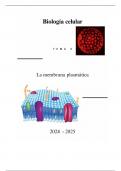 Tema 3 - La membrana plasmática 