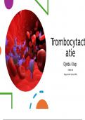 Presentatie over trombocytenactivatie