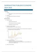 Samenvatting Publieke Economie 2024-2025