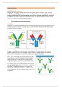 Samenvatting Immunologie Deeltentamen 2 -  Celbiologie en immunologie (AB_1132)