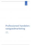 Samenvatting Professioneel handelen: vastgoedmarketing