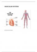 Mechanistic action of vasodilation and constriction via smooth muscle cells