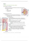 Samenvatting -  Nier 1 (1012GENGE2)