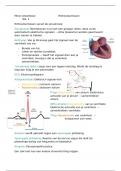 Samenvatting Ritmestoornissen, Minor Anesthesie medewerker