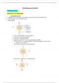 Samenvatting - Moleculaire celbiologie DE BASIS