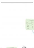 Summary of the organic and aromatic synthesis route