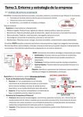 Empresa - Tema 3. Entorno y estrategia de la empresa