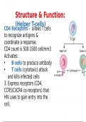 "Comprehensive Nursing Guide: AKI, Sickle Cell Anemia, SLE, Shock, and HIV