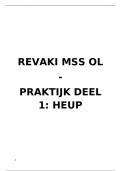 samenvatting REVAKI MSS OL, deel praktijk HEUP, revaki 2024-2025