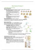 Neuropsychology second exam summary (UvA, first year, second semester, bachelor psychology)