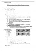 Samenvatting celbiologie 1 hoofdstuk 24: de celcyclus en mitose