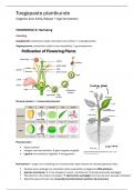 TOTALE SAMENVATTING | Toegepase Plantkunde: Fysiologie