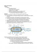 Samenvatting Mims' Medical Microbiology and Immunology -  Oorzaken van ziekten 1.3 (GKE02.1)