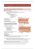 Samenvatting: bloedingsziekten en veneuze trombo-embolie (slides - prof. Verhamme)