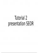 SEOR - Assignment Presentation Tutorial 2