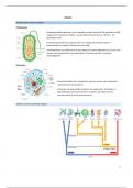 Samenvatting - Moleculaire en cellulaire biologie