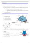 Samenvatting -  neurologie