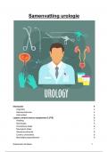 Samenvatting Urologie (nier)