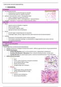 Samenvatting - Locomotorisch stelsel en huid - Histologie - DEEL 1