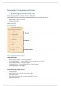 samenvatting ruimtelijke onderzoeksmethodes