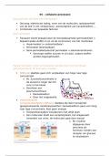 Samenvatting - cellulaire processen 