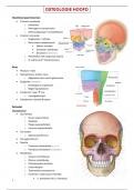 Anatomie I - Geneeskunde: hoofd, hals, nek, rug en bekken