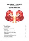 Samenvatting nierziekten + biopsie
