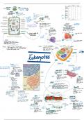 Topic 2 - cells