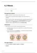 Mitosis Summary