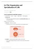 The Organisation and Specialisation of Cells