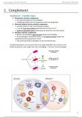 Samenvatting immunologie 3de bach