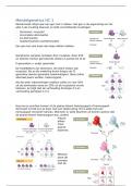 Aantekeningen hoorcolleges genetica en toegepaste genetica - toegepaste biologie jaar 2 HAS Den Bosch