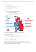 Summary of Heart Failure and Therapy (AB_1211) - minor Biomedical Topics in Health Care