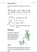 Class notes Physics Equilibrium 